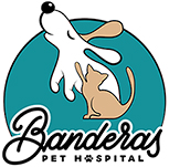 Banderas Pet Hospital