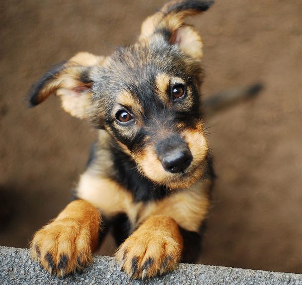 pain-management-img011-600×565-1